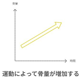 運動によって骨量が増加する