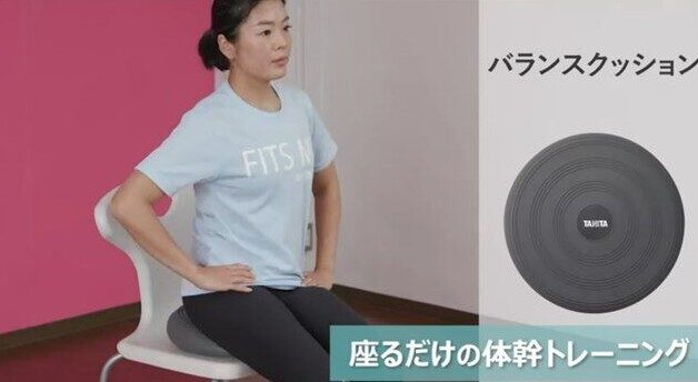 タニタサイズ バランスクッション