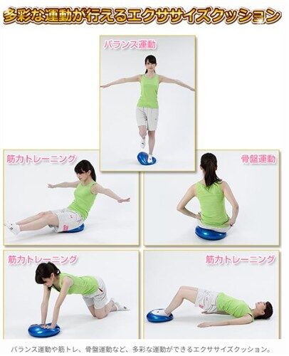 ALINCO(アルインコ) エクササイズクッション (EXG027)