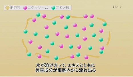 原料1mlあたりエクソソーム様顆粒を286億個自然含有して