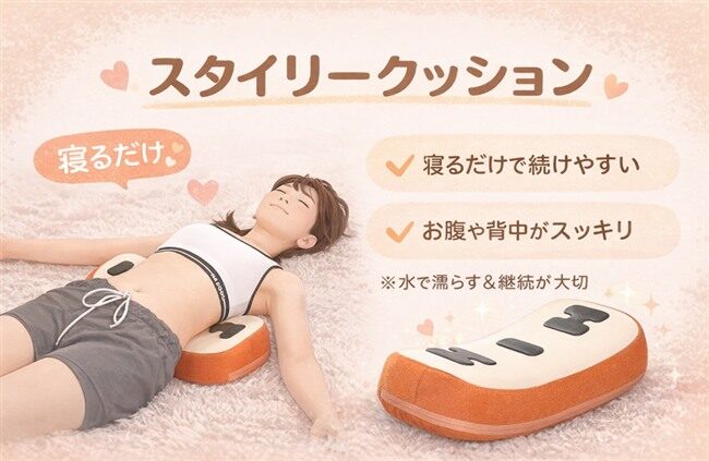 スタイリークッションの特徴と口コミまとめ