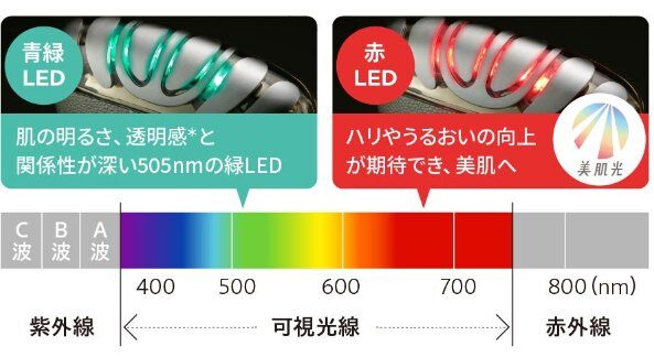 LEDは美容クリニックの光美容にも使われる安全性の高い光。青色は短く赤色は長いなど、波長（光の色）によって、到達する長さが変わります。