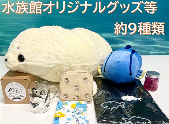https://sunshinecity.jp/aquarium/shop/shop_news/entry-35173.html