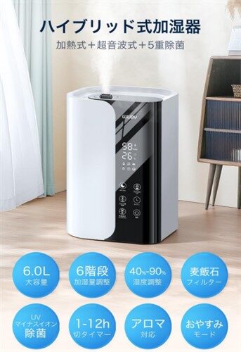 加湿器 大容量 6L 【2025年新モデル・5重除菌・加熱式】