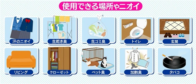 出典：ディノス