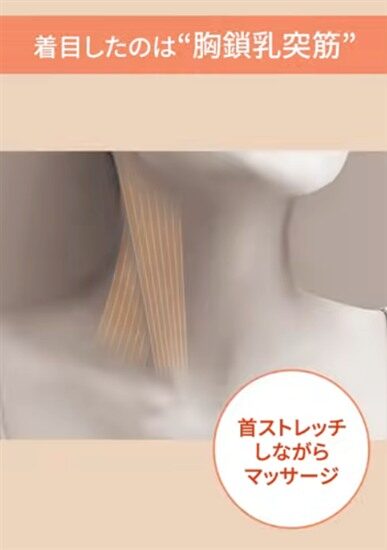 アテックス公式