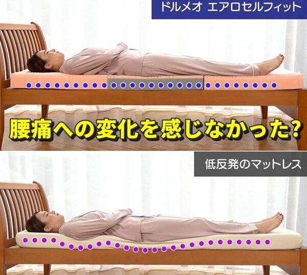 腰痛への変化を感じなかった